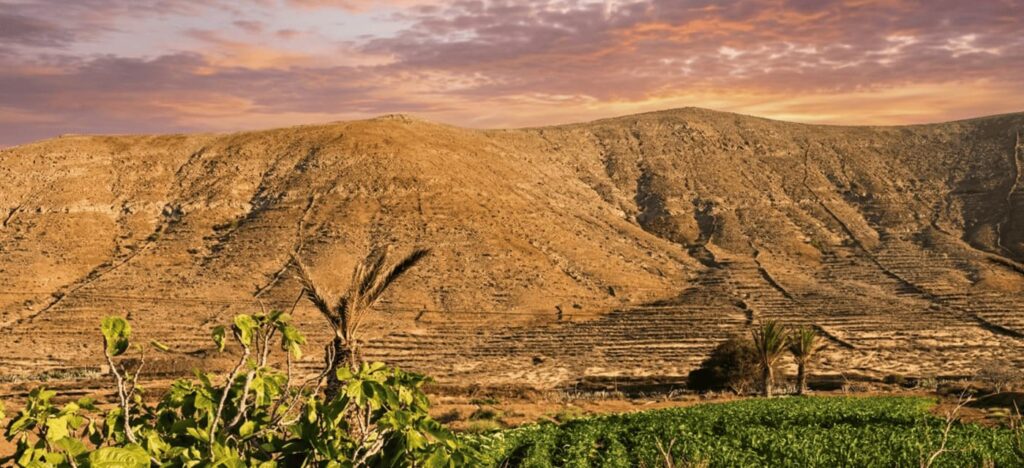 Laderas y cultivos tradicionales en Vallebrón, Fuerteventura