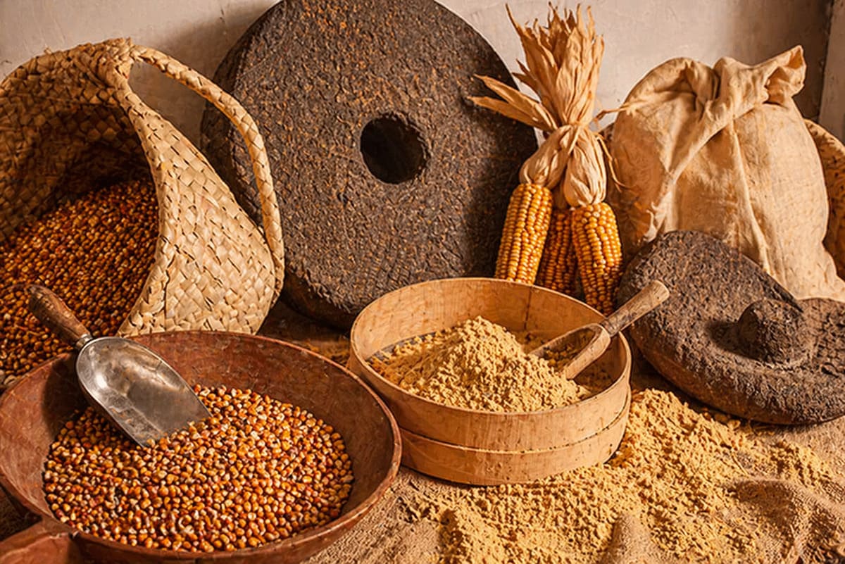 Gofio canario con millo, harina tostada y piedras de molino tradicional