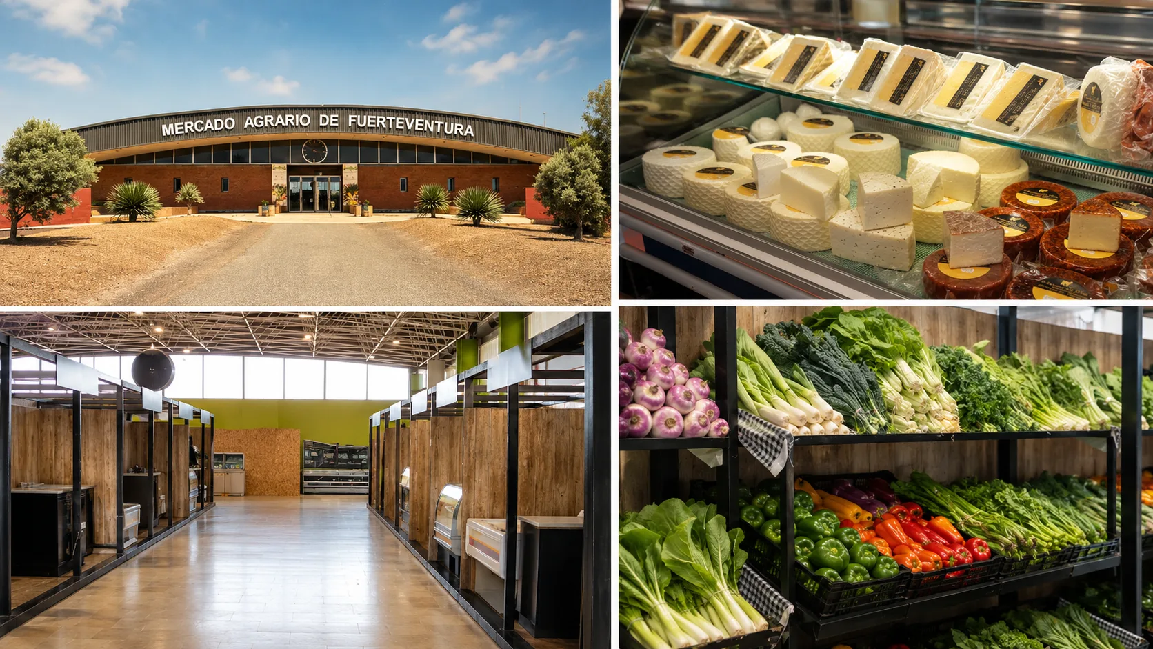 Collage del Mercado Agrario de la Biosfera en Puerto del Rosario con queso majorero, verduras y puestos de producto local