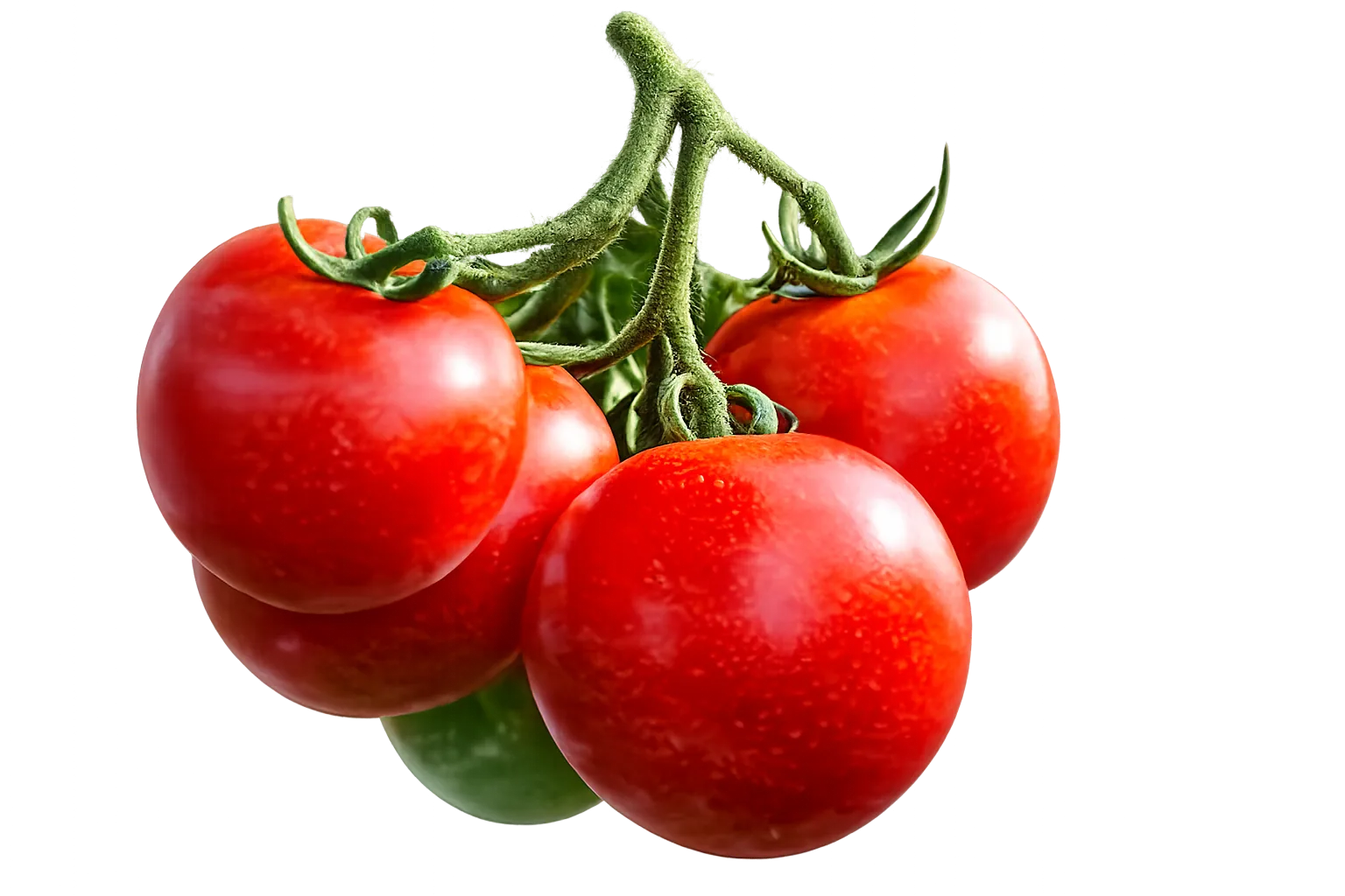 Tomate de Fuerteventura con producto local majorero