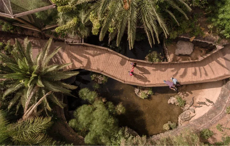 Pasarela entre la vegetación de Oasis Wildlife Fuerteventura