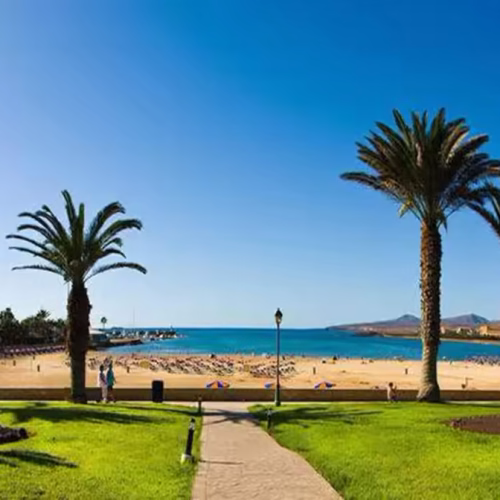 Paseo marítimo con palmeras verdes, césped y vistas a la bahía de arena dorada y mar azul.