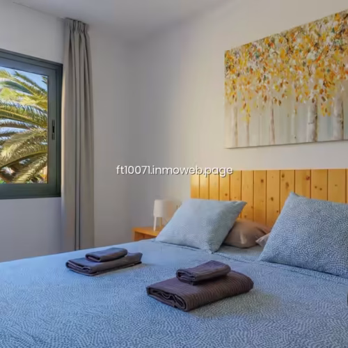 Cama doble frente a ventana con vistas a palmeras canarias