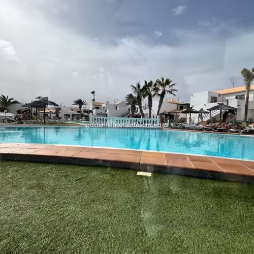 Piscina con césped alrededor y palmeras en el fondo.