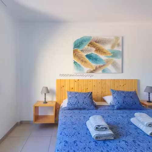 Habitación con vistas a las palmeras exteriores y decoración en tonos azules y madera.