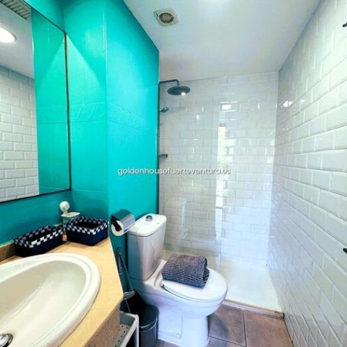 Baño con espejo grande, lavabo encastrado y plato de ducha con mampara de cristal.