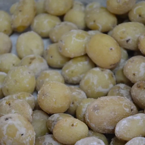 Papas arrugadas en Restaurante Don Pepe, Parque Holandés