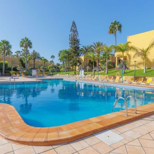 Piscina rodeada de edificios amarillos, césped y palmeras bajo cielo despejado.