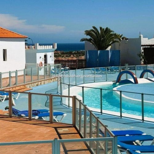 Piscina de adultos con hamacas y sombrillas.