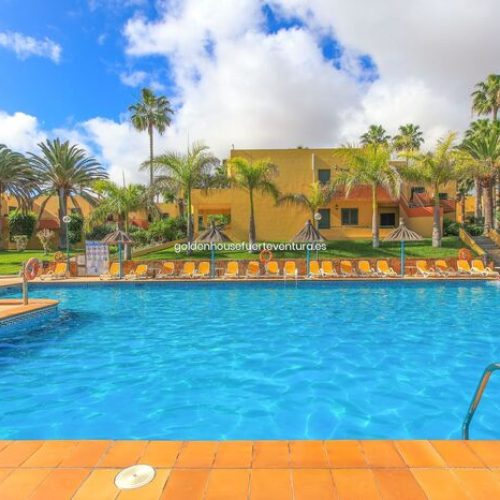 Vista frontal de la piscina con filas de hamacas amarillas y sombrillas de paja.