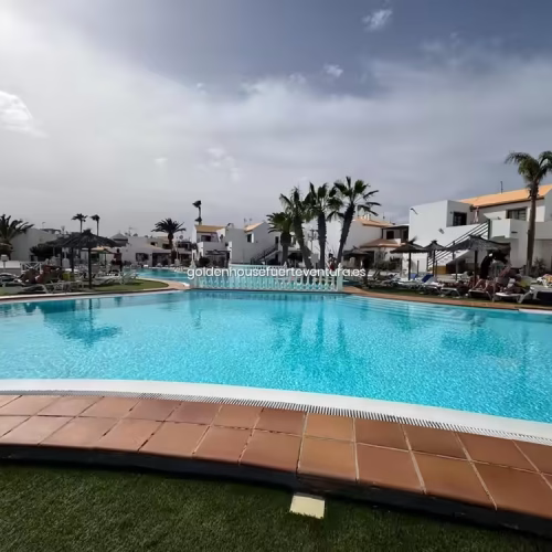 Piscina exterior de diseño curvo rodeada de palmeras y sombrillas bajo el sol de Fuerteventura.