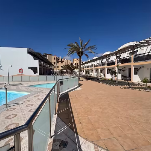 Terraza exterior del complejo con palmeras y valla de cristal junto a la piscina.