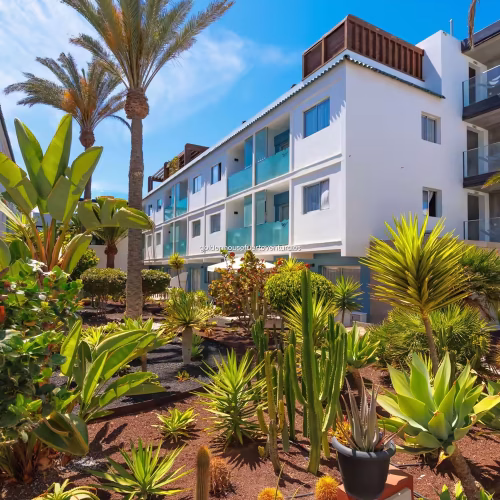 Vista en ángulo de la fachada blanca del edificio rodeada de jardines con palmeras y cactus bajo un cielo despejado.