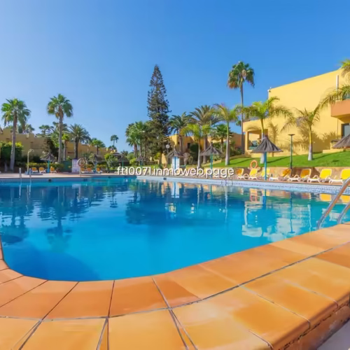 Área de piscina con filas de hamacas amarillas y sombrillas de paja.